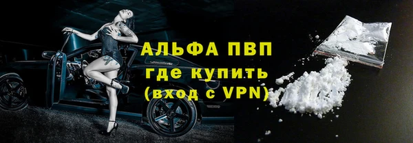 гидра Гатчина