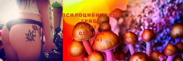 гидра Гатчина