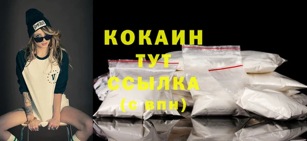 твердый Гвардейск