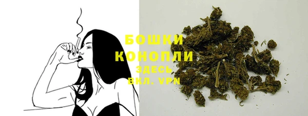 spice Пестово