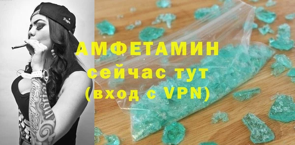 гидра Гатчина