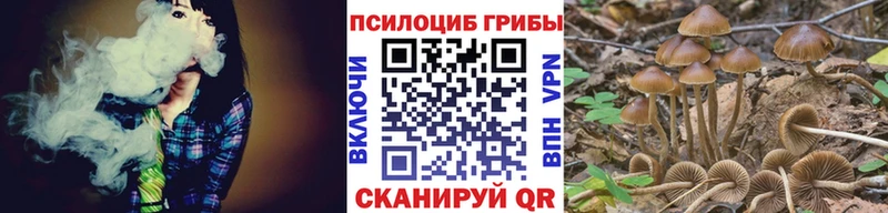 Псилоцибиновые грибы Magic Shrooms  магазин продажи   Орлов 